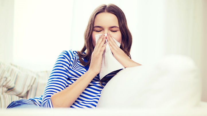 What Causes Year-Round Allergies? Mold, Dust Mites & More